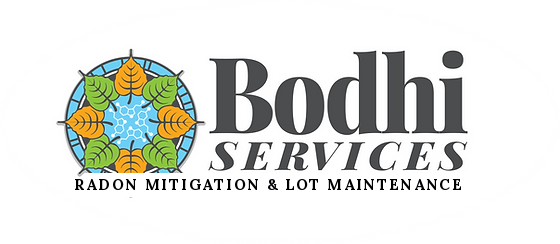 Bodhi Logo
